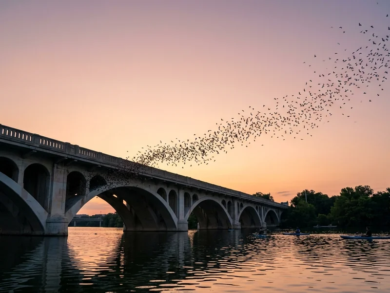 Bats pouring from under the Congress Avenue Bridge in Austin at dusk, kayakers below.