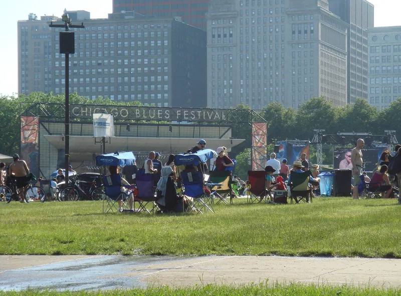 A crowd at the Chicago Blues Festival in Grant Park.