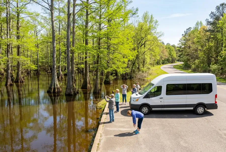 Travelers beside a white van at a cypress swamp on the Natchez Trace Parkway in spring.